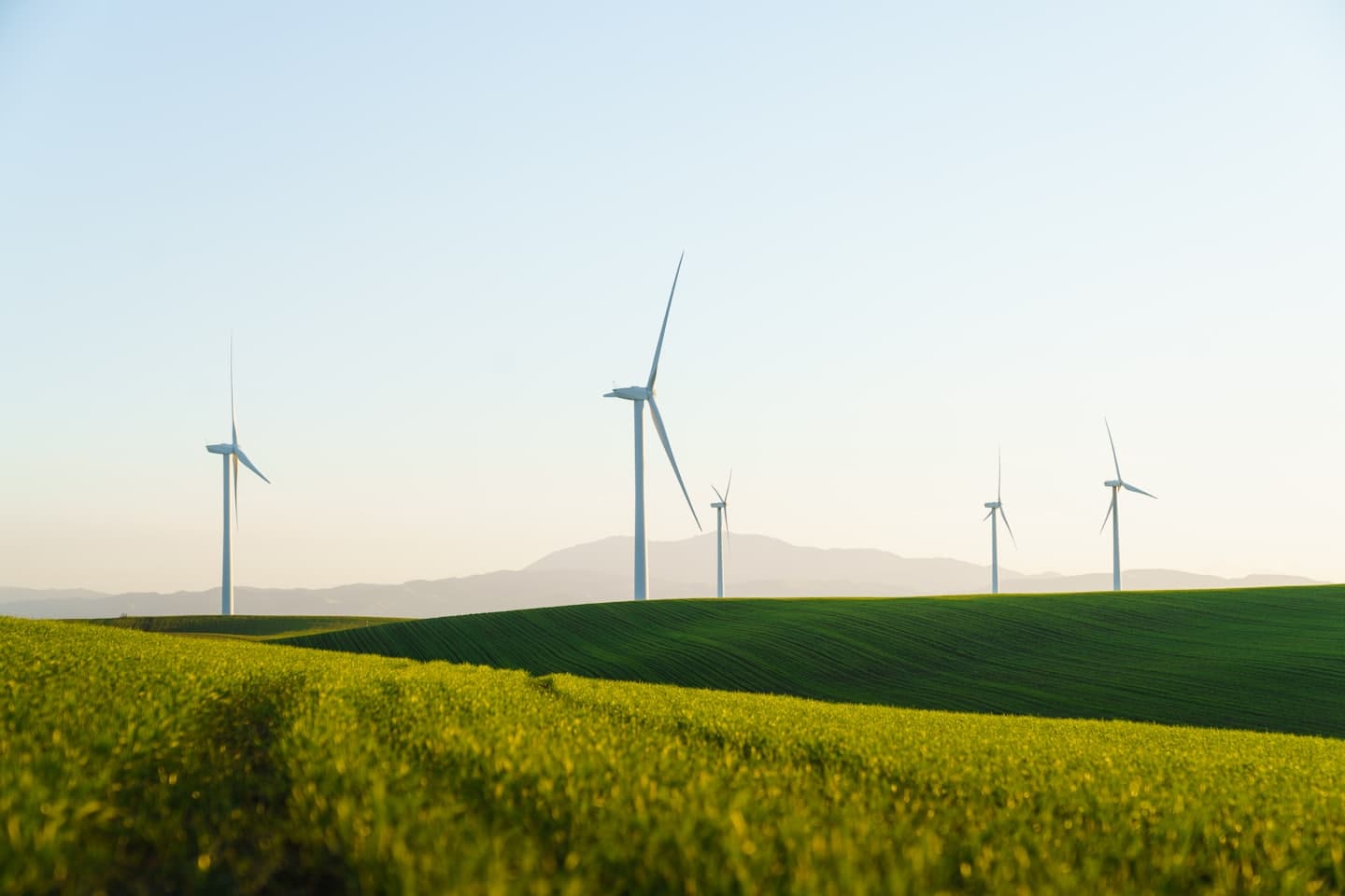 Wind turbines in green field